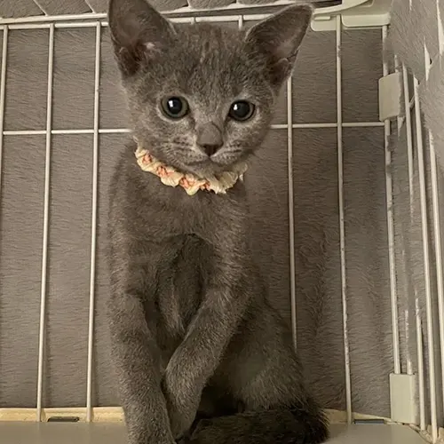 YUKI