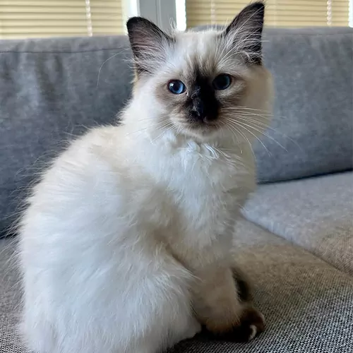 name57